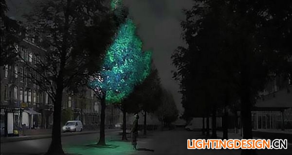 生物发光，城市未来的照明方式？